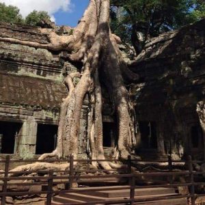Half-Day Ta Prom and Banteay Kdei Tour